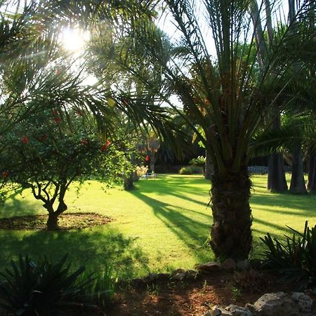 Finca Hotel Predio Son Serra Can Picafort  Kültér fotó