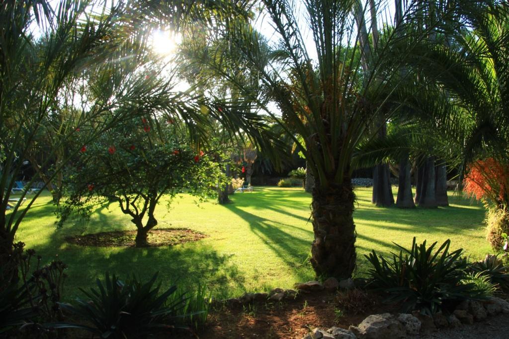 Finca Hotel Predio Son Serra Can Picafort  Kültér fotó